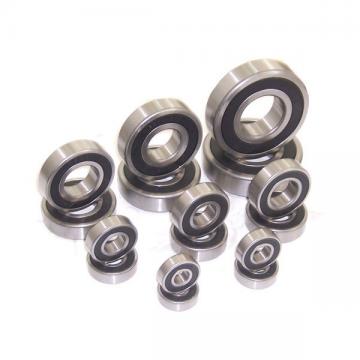 Toyana NP29/630 cylindrical roller bearings